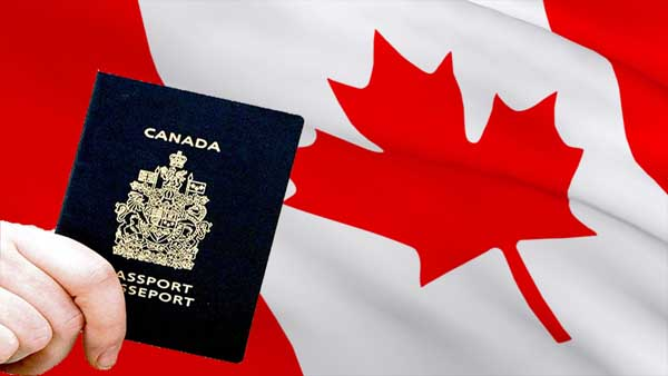 移民‖移民加拿大要趁早：30岁往后，越来越难！插图10