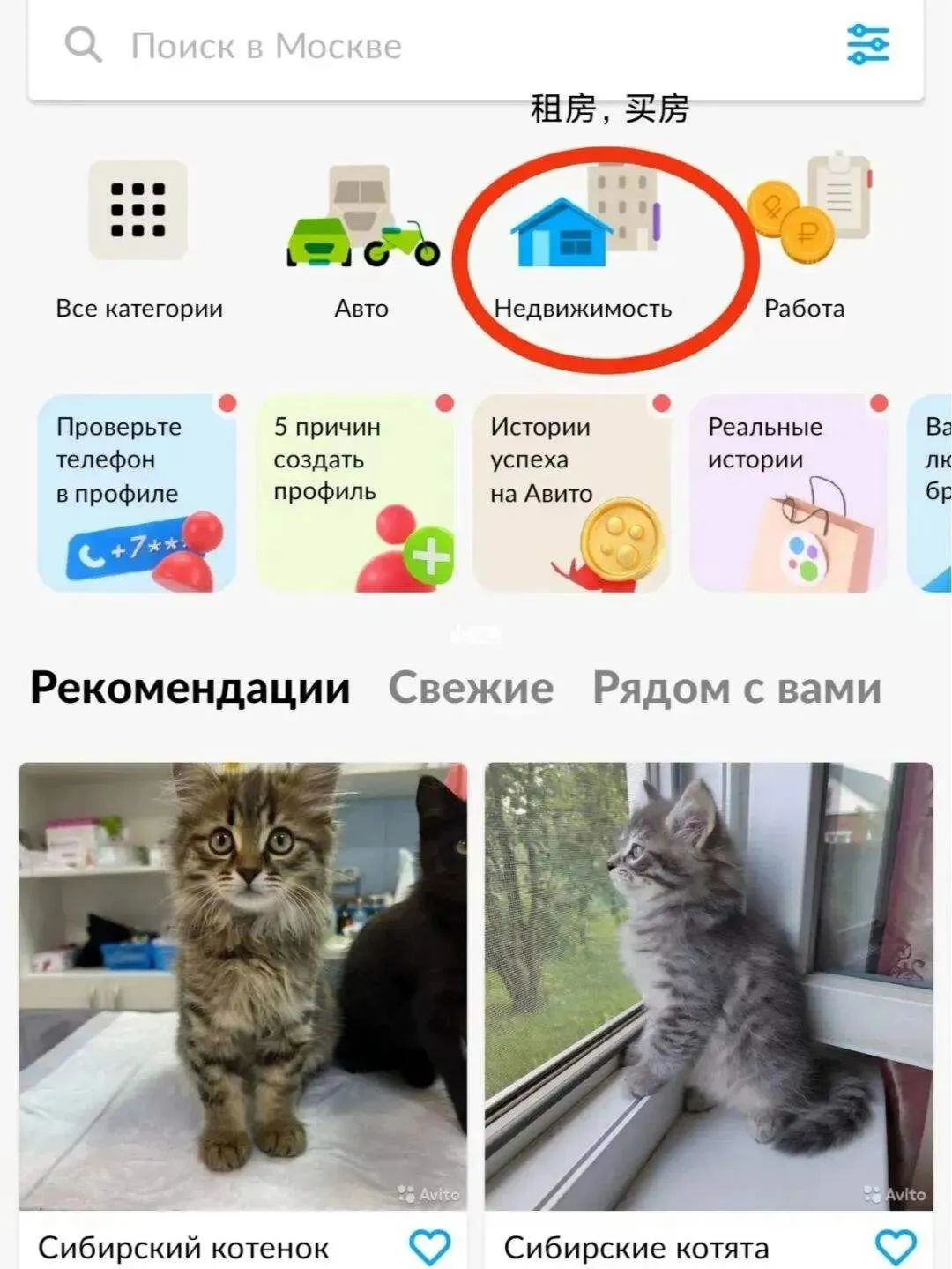 俄罗斯留学超全必备App，衣食住行全覆盖！插图26